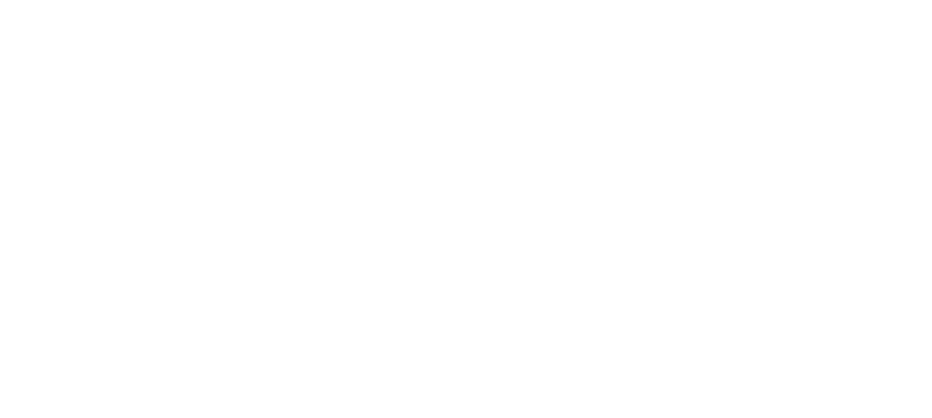 RM9 Growth Partner